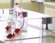 lab
