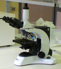 lab