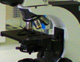 microscope