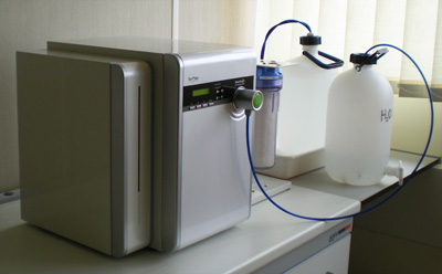 lab