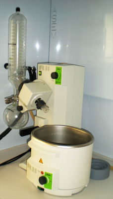 lab