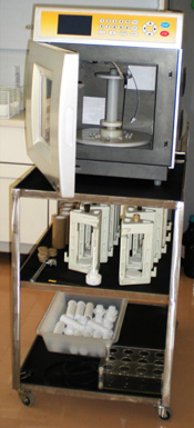 lab