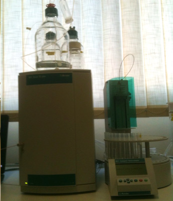 lab