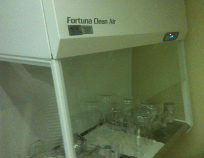 lab