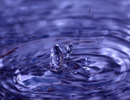 acqua